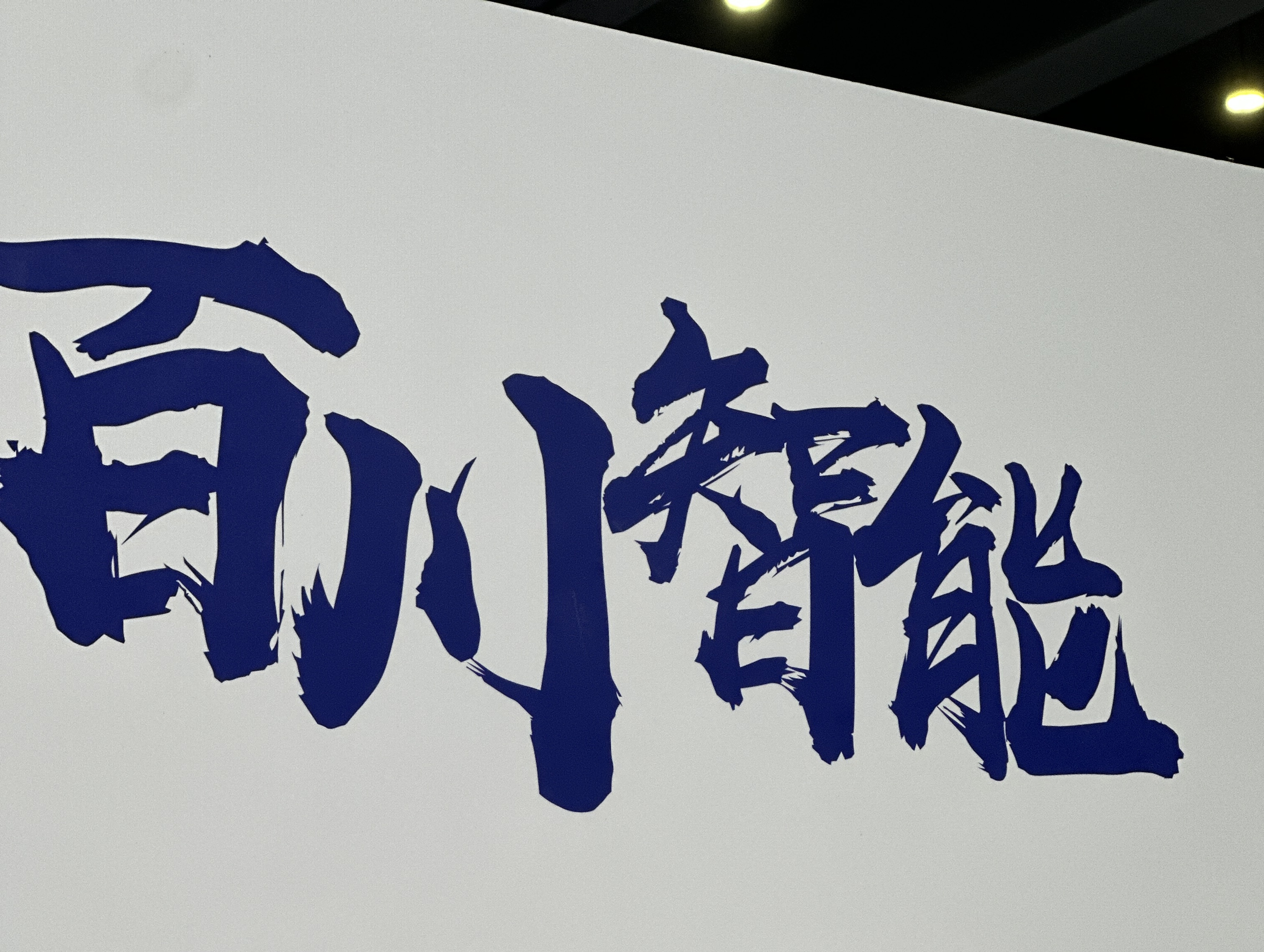 从“AI四小龙”看“六小虎”，大模型独角兽难破盈利困局