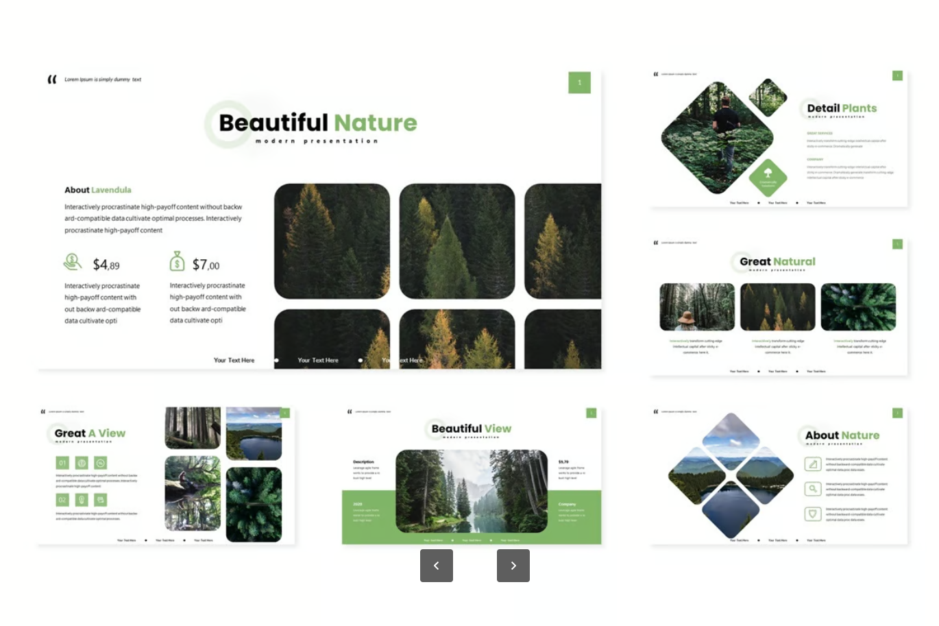 Mac专用清新植物系Keynote模板商务汇报极简可编辑高级感Green Planties - Keynote Template-演示喵HUB