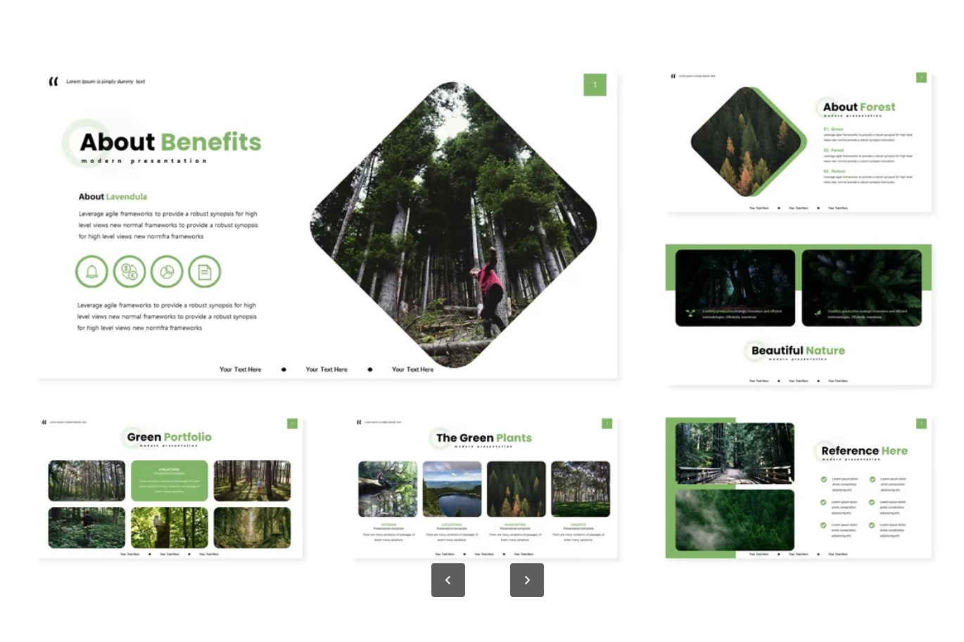 Mac专用清新植物系Keynote模板商务汇报极简可编辑高级感Green Planties - Keynote Template-演示喵HUB