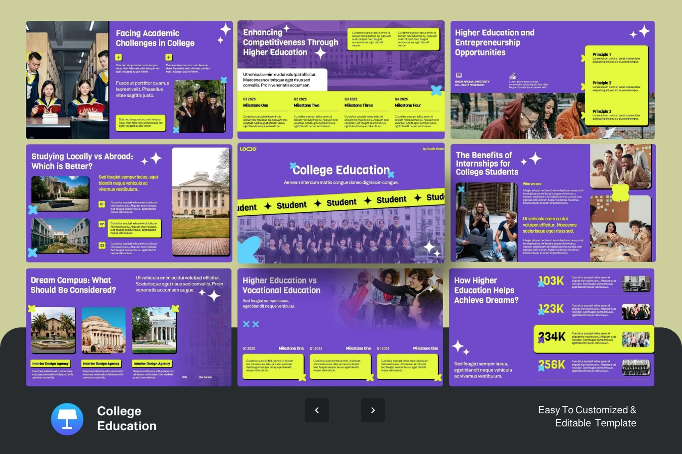 名校录取留学申请必备PS个人陈述+推荐信+CV简历全套文书模板College Education-演示喵HUB