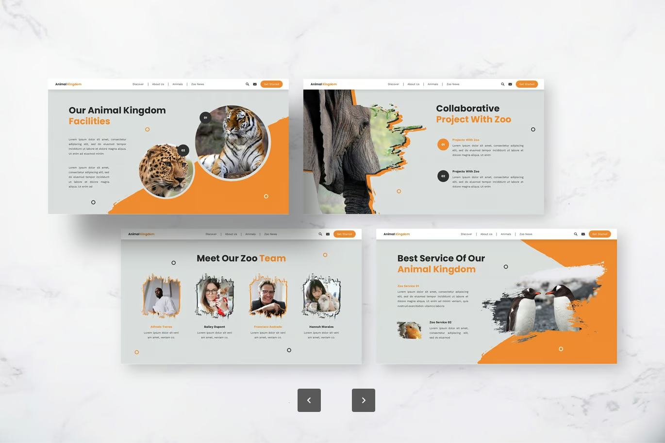 苹果专用动物园王国Keynote模板 高端创意动态商务PPT可编辑素材Animal Kingdom - Zoo Keynote Templates-演示喵HUB