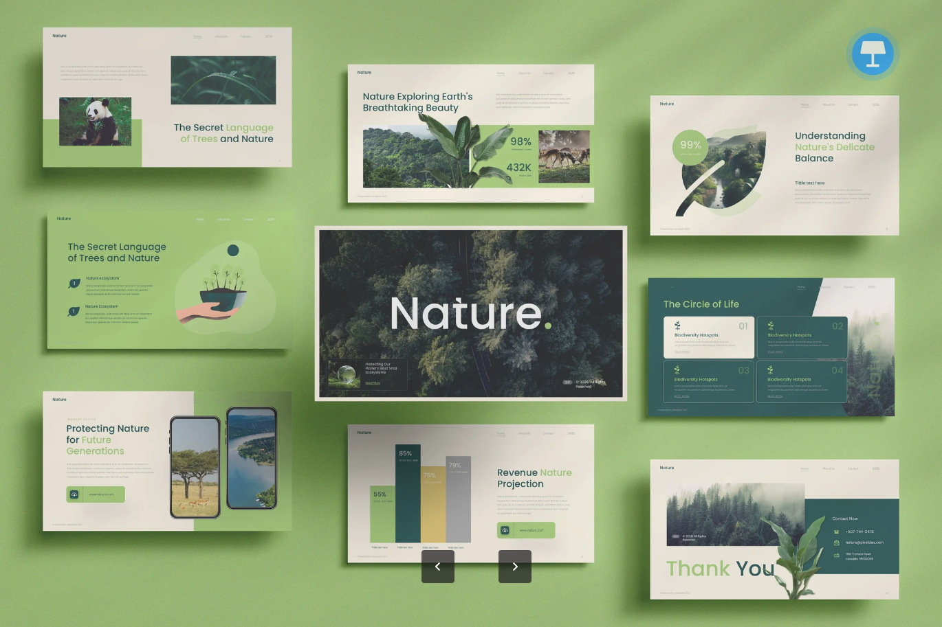 自然生态Keynote模板高端商务可编辑极简风PPT设计Nature Ecosystem Keynote-演示喵HUB