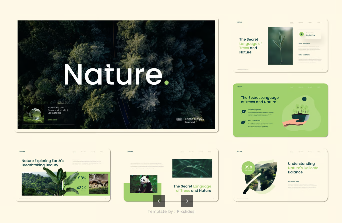 自然生态Keynote模板高端商务可编辑极简风PPT设计Nature Ecosystem Keynote-演示喵HUB